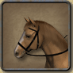 Bestand:Pony.png