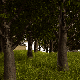 Bestand:Dickson forest.png