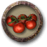 Tomaten oogsten.png