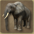 Bestand:Olifant.png